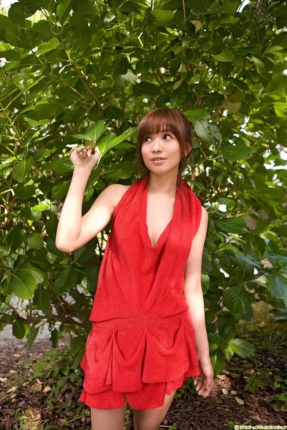 No.814 優木まおみ  [DGC]